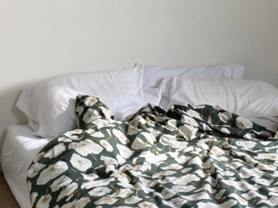 interior infatuation: canopy&nbsp;beds